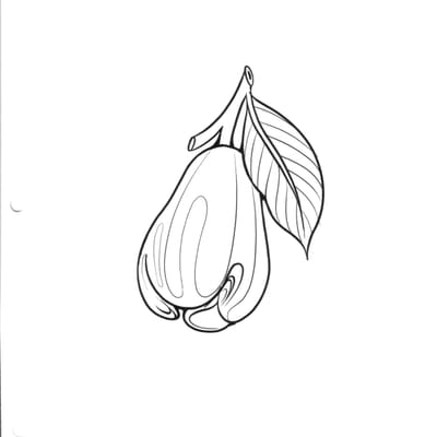 Fruit flash tattoo design - Laurel MD